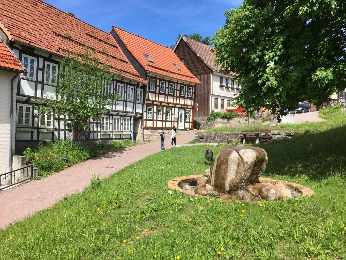 Ferienwohnung Harzblick 1 布劳恩拉格 外观 照片
